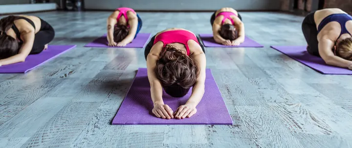 Paws on Yoga — Yoga in Pimlico, London