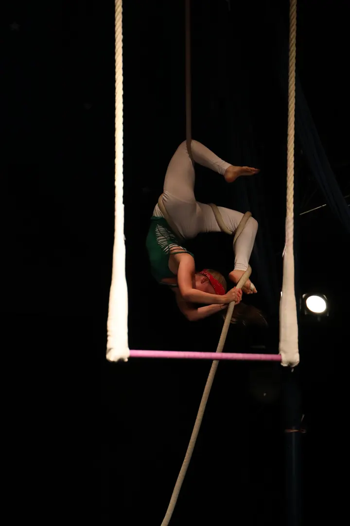 Katakids — aerial-studio in Gesundbrunnen, Berlin — 3