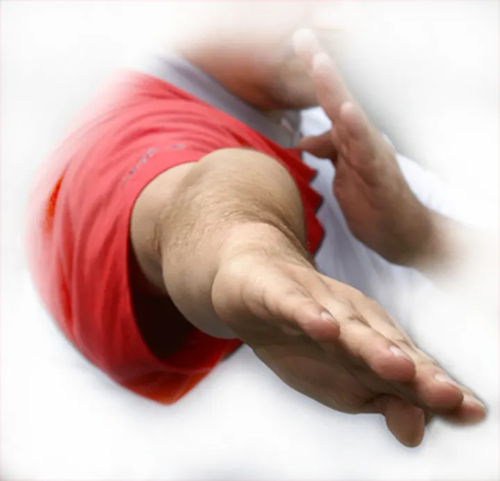 Wing Tsun Akademie Bremen — BJJ in Mitte, Bremen