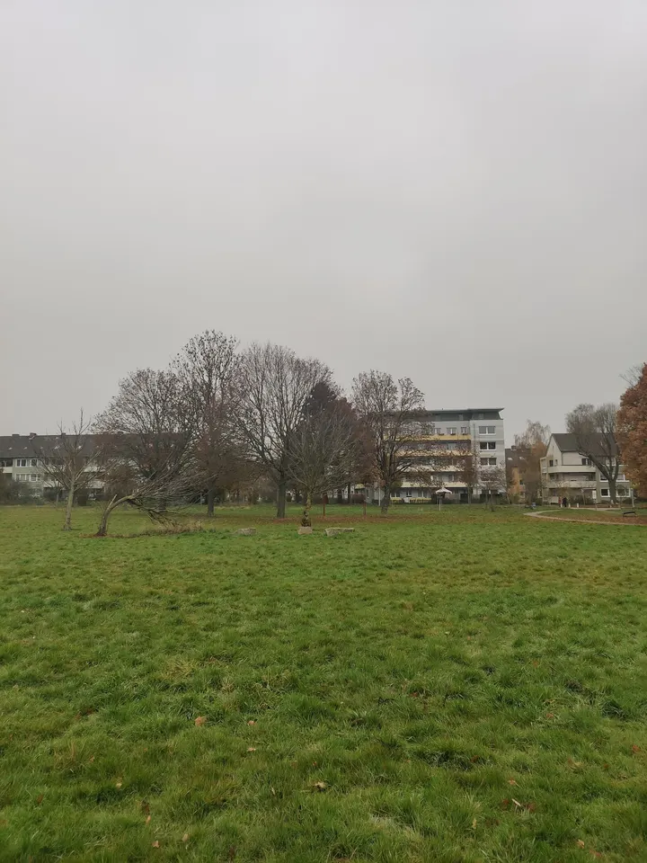 Hängematten - Drispenstedt — recovery-studio in Hildesheim — 3