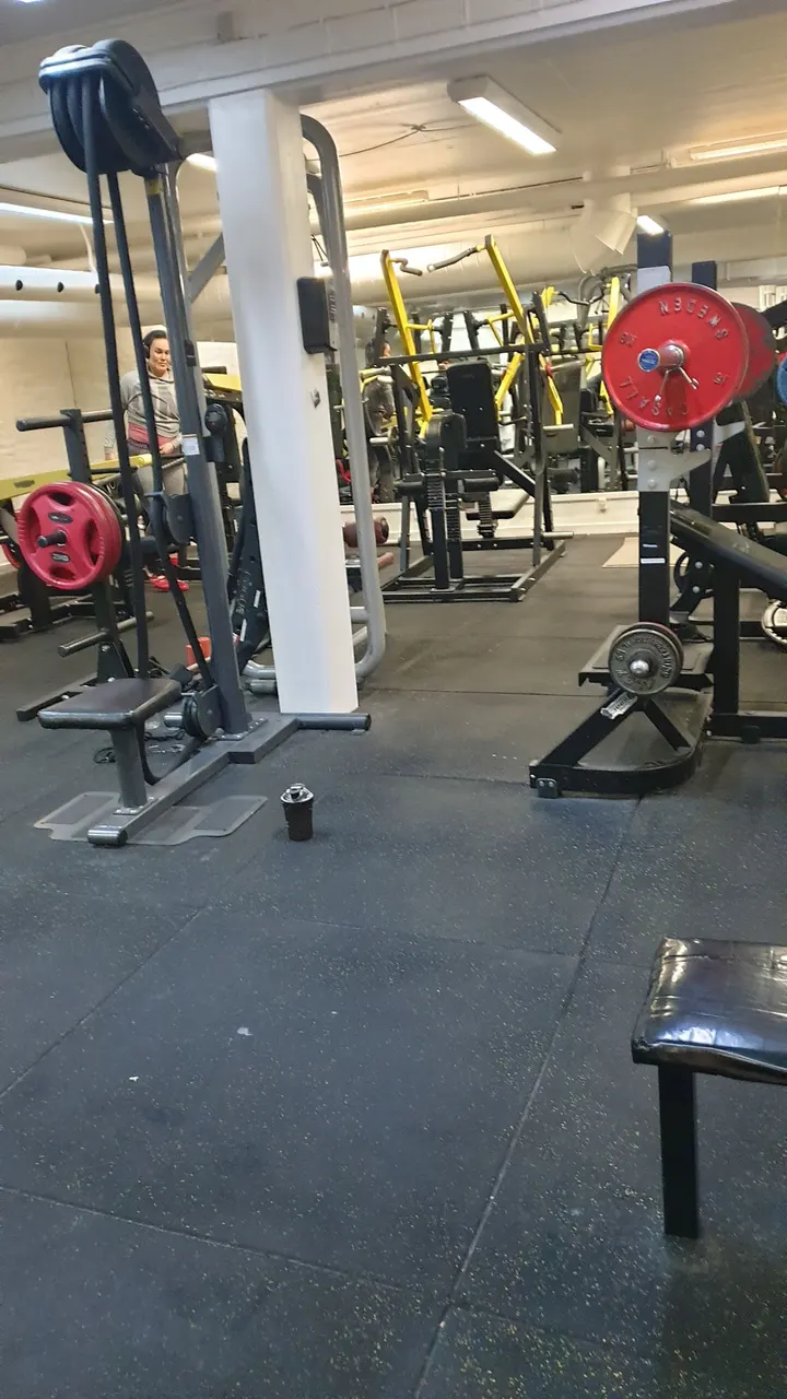 fitnessgl Nuuk ApS — træningsstudio i Nuuk — 4