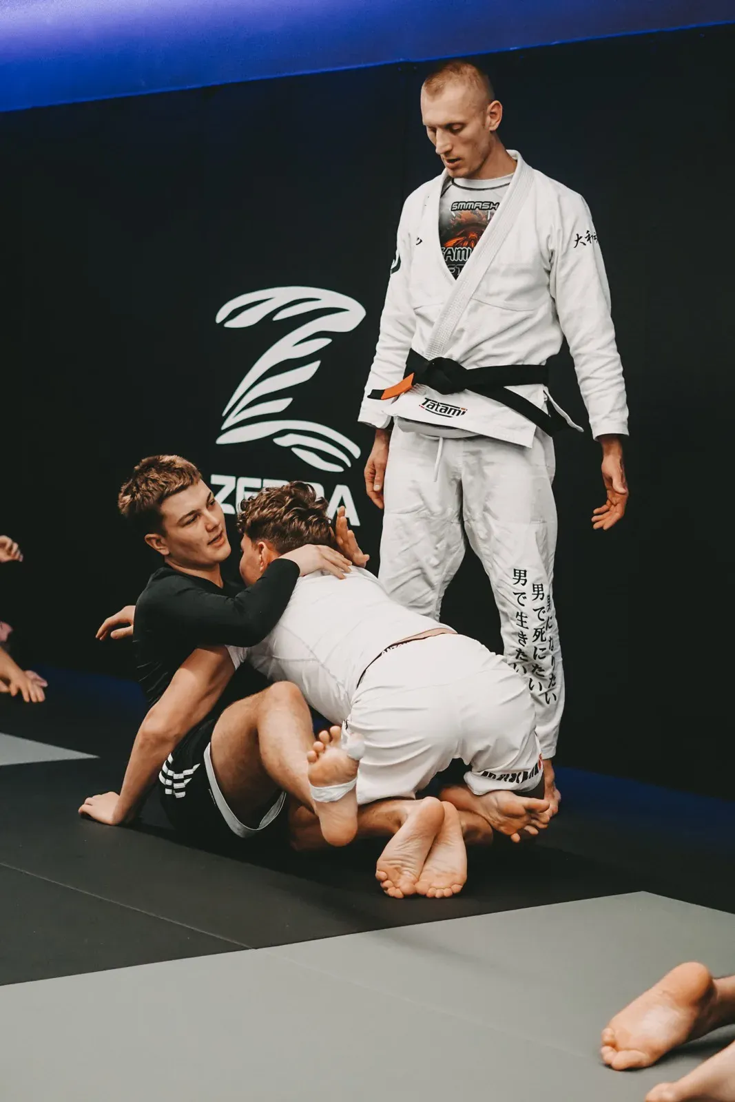 Rise & Roll MMA Fight Club Bamberg — kampsport-studio i Bamberg — 2