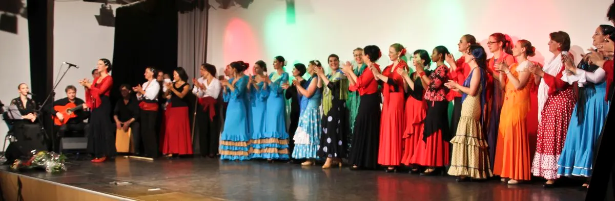 Aire Flamenco Tanz und Yoga — yoga-studio i Nürnberg — 3