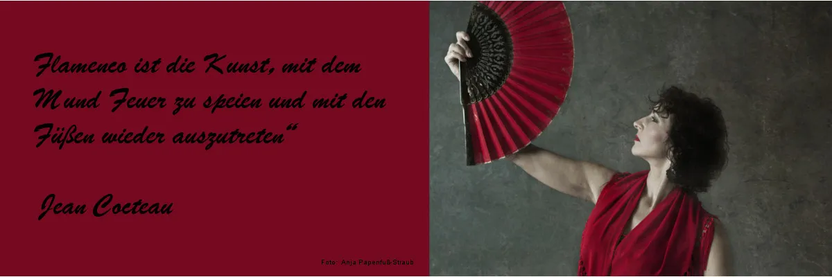 Aire Flamenco Tanz und Yoga — yoga-studio i Nürnberg — 4