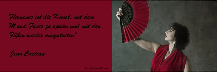 Aire Flamenco Tanz und Yoga — yoga-studio in Nürnberg — 4