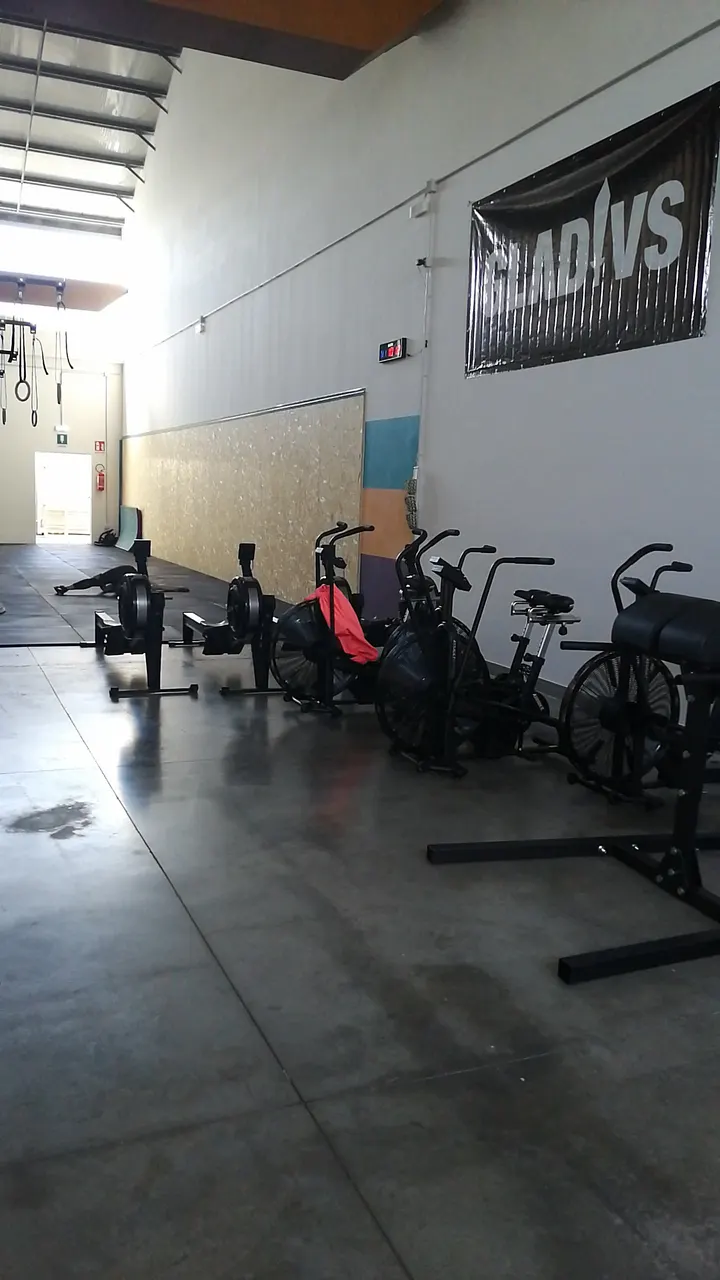 Wild Crew Crossfit — crossfit-studio a Pescara — 5
