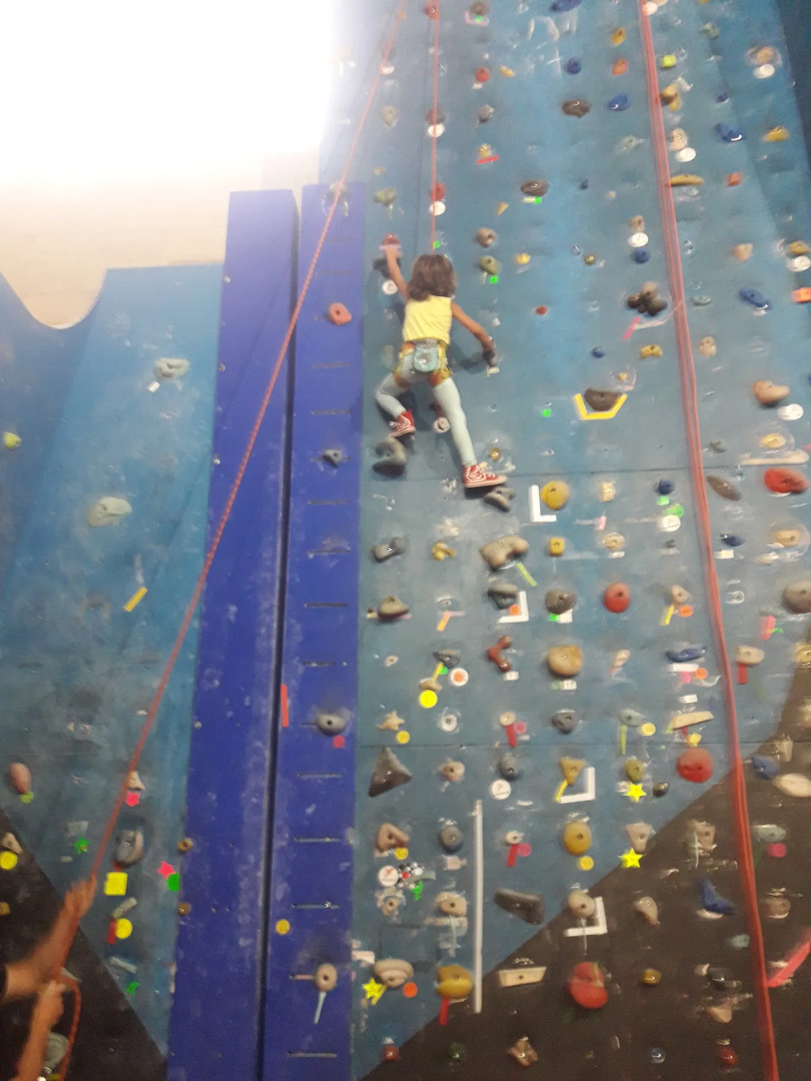 Rocódromo Rawindoor — escalada-studio en Varea, Logroño — 3