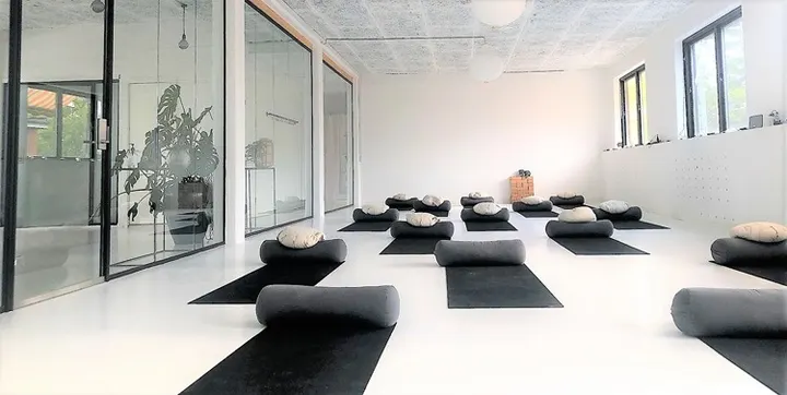 Blå Himmel Yoga - Børneyogauddannelse, Aerial Yoga — Yoga i Søborg, København