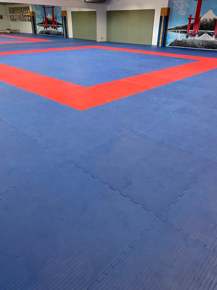 MMA Alfa Warriors — Arts martiaux à Borny, Metz