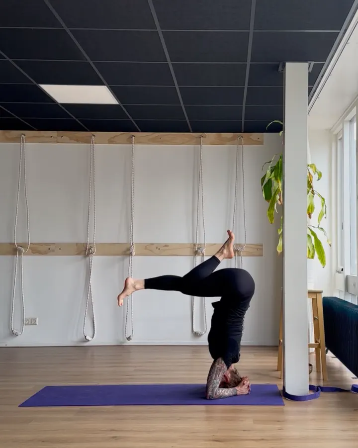About Yoga Breda — yoga-studio in Breda — 3