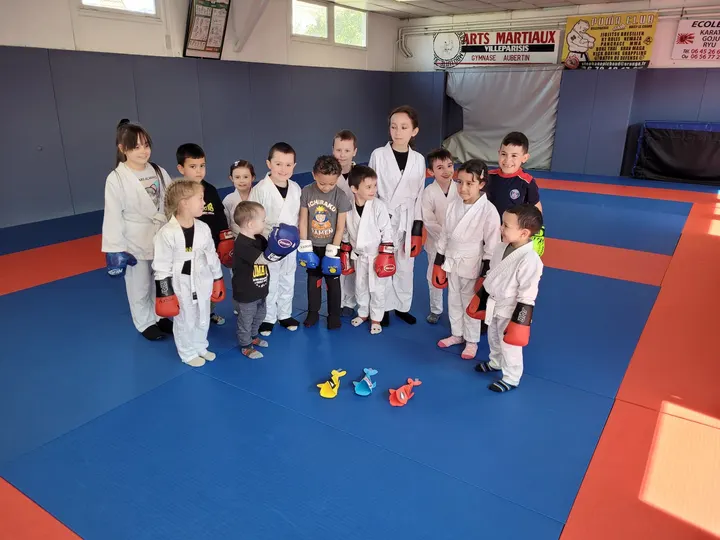 Puma Club MMA — MMA à Noisy-le-Grand