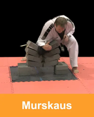Lahden Taekwondo Hwang — kamppailulajit-studio – Salpausselkä, Lahti — 2