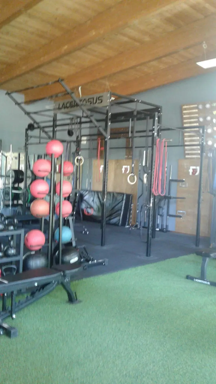 Fit&Joy Training Club — palestre-studio a Faenza — 3