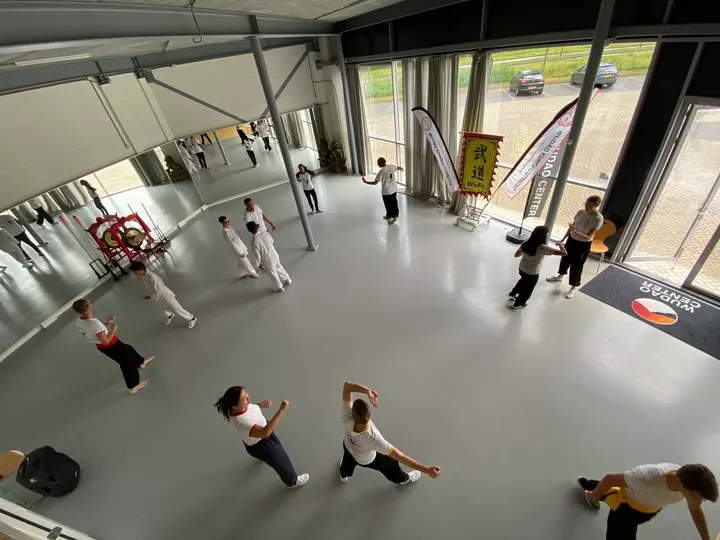 Wudao Kung Fu School — vechtsport-studio in Vleuten - De Meern, Utrecht — 2