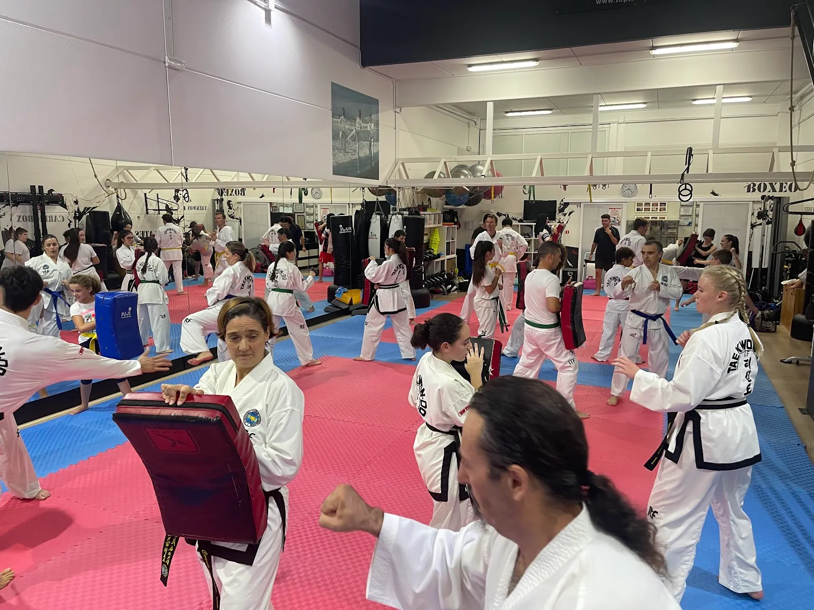 Taekwondo Tang Su Do — artes marciales-studio en Miraflores, Marbella — 3