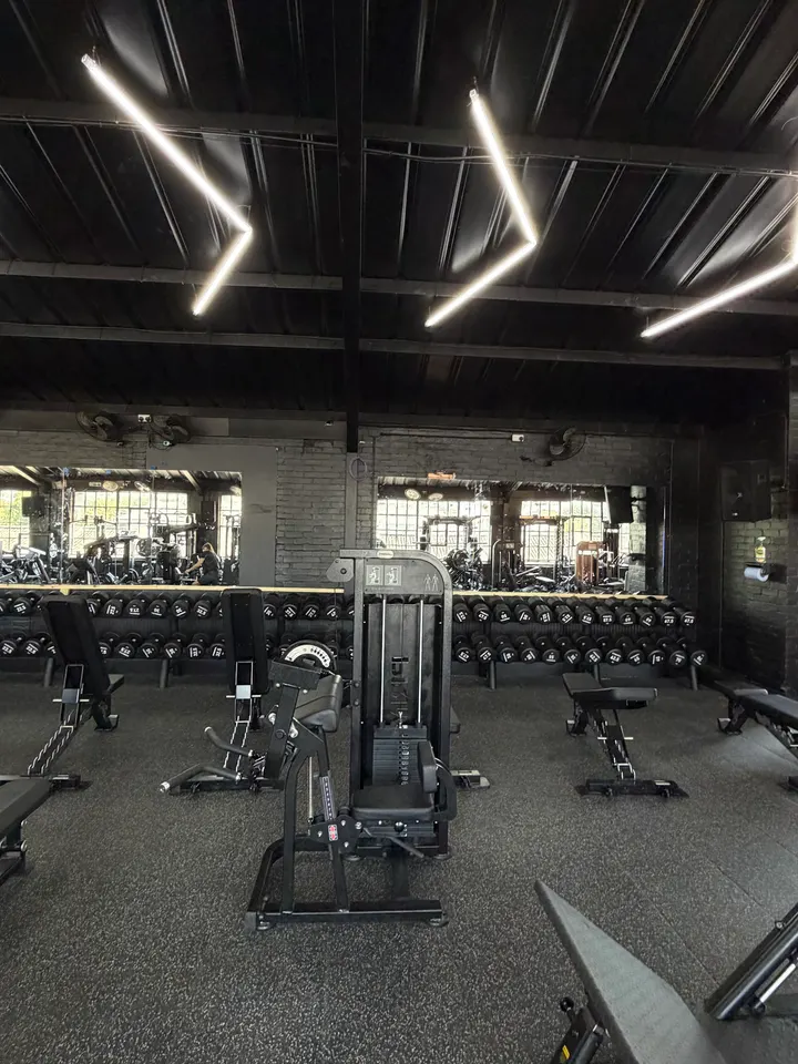Primal Power Gym — strength-studio in Potters Bar — 2