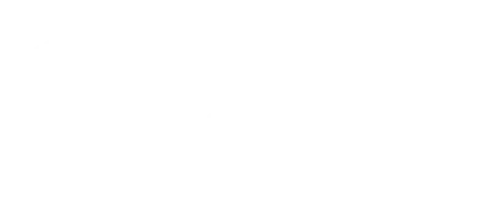 Street Movement — functional training-studio i Kødbyen, København — bild 2