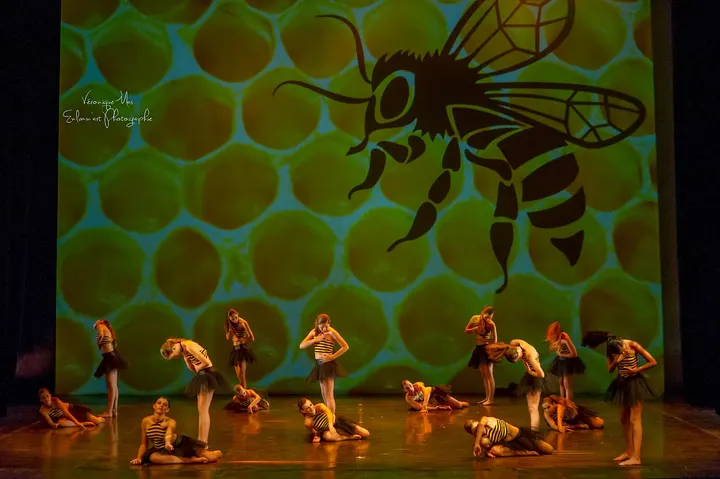 Ecole de Danse de Saint Mandrier — danse-studio à Saint-Mandrier-sur-Mer — 5