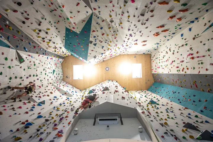 Monkeys' Planet - palestra di arrampicata — arrampicata-studio a San Lazzaro di Savena — 3
