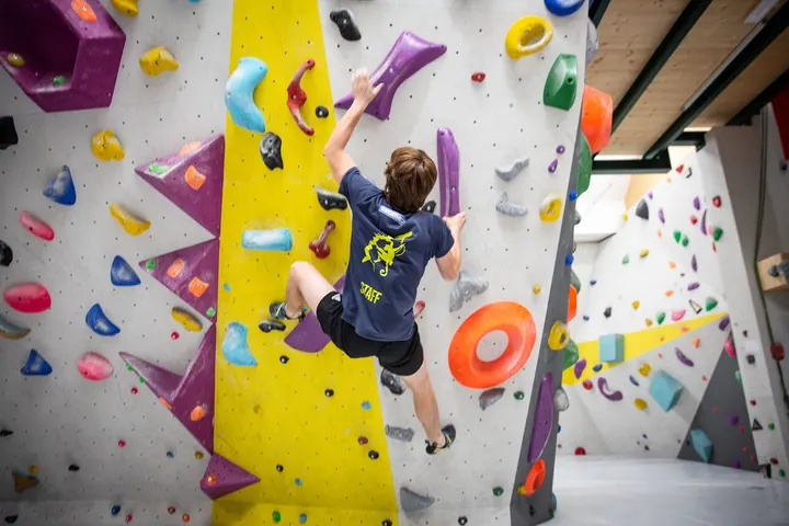 Monkeys' Planet - palestra di arrampicata — arrampicata-studio a San Lazzaro di Savena — 4