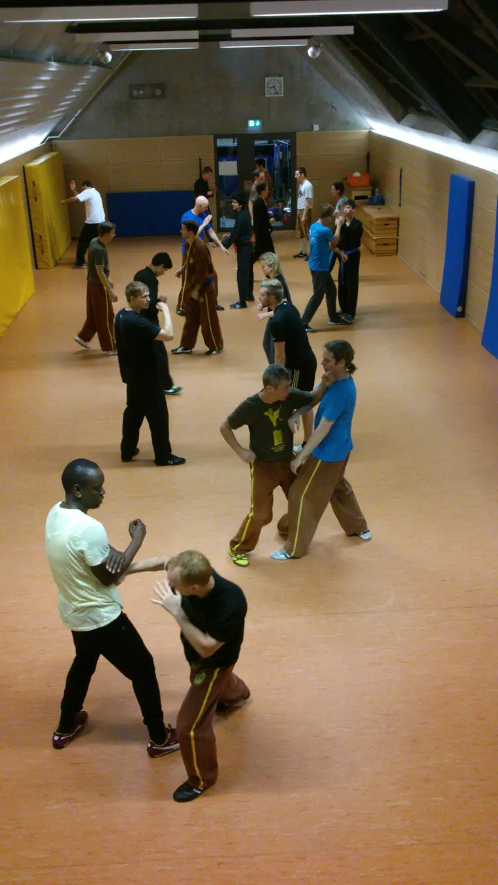Weng Chun Kung Fu Stuttgart — kampfsport-studio in Gänsheide, Stuttgart — 2