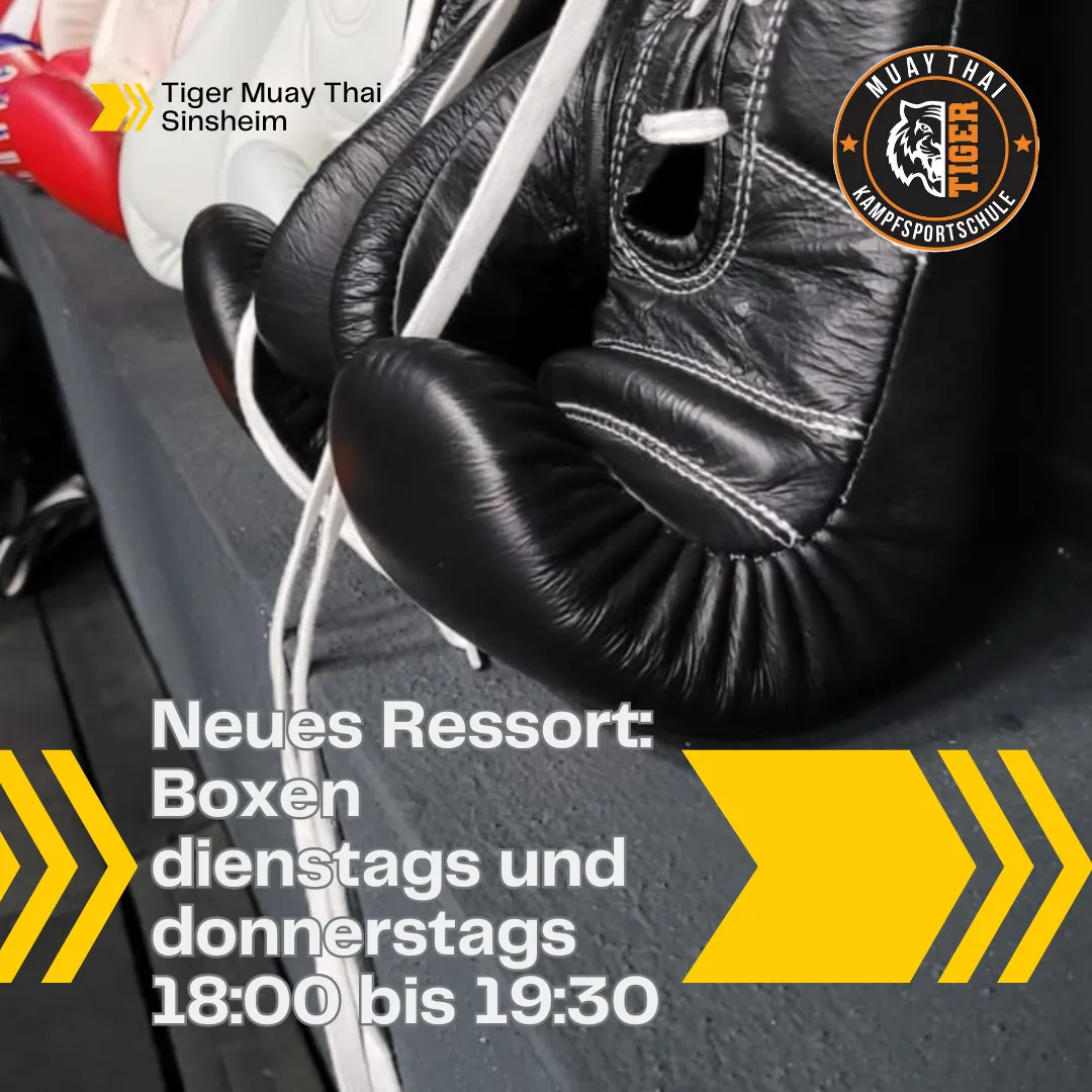 Muay Thai Tiger Kampfsportschule — muay thai-studio in Sinsheim — 2