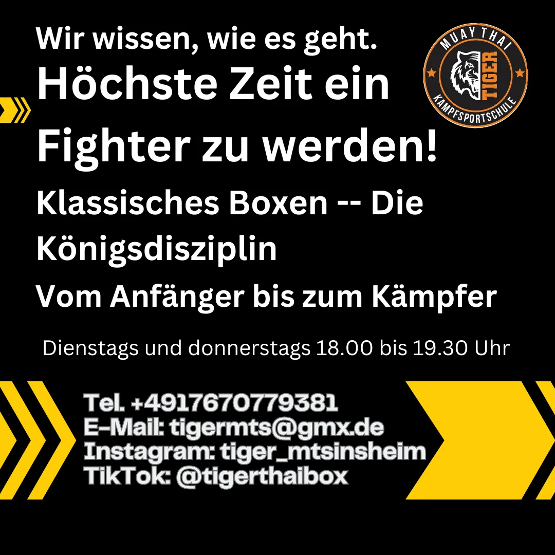 Muay Thai Tiger Kampfsportschule — muay thai-studio in Sinsheim — 3