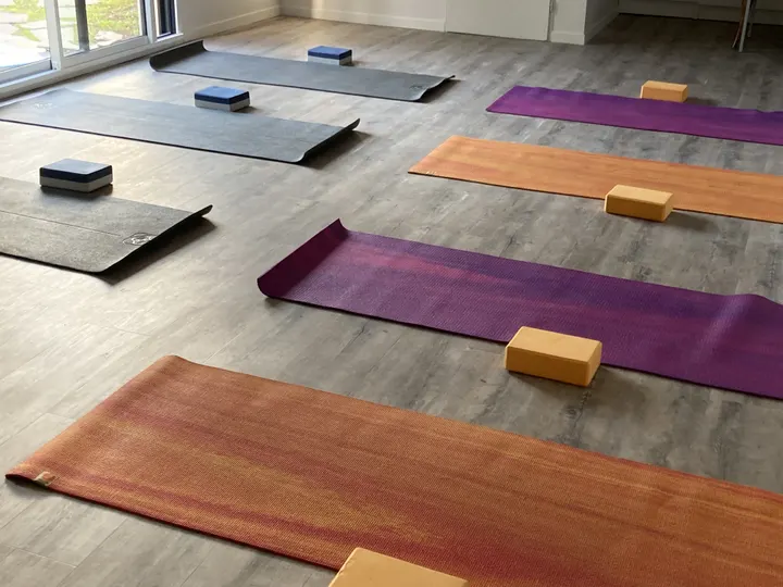 Ajagar Yoga — Yoga à Les Jacobins, Le Mans