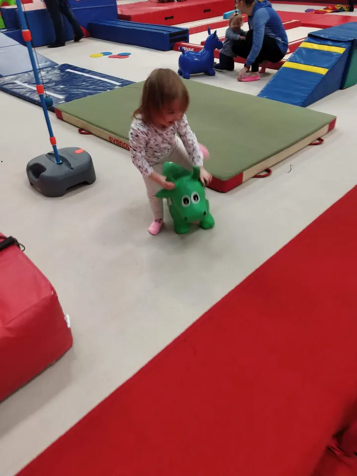 Excel Gymnastics CIC — gymnastics-studio in Ballybot, Newry — 3