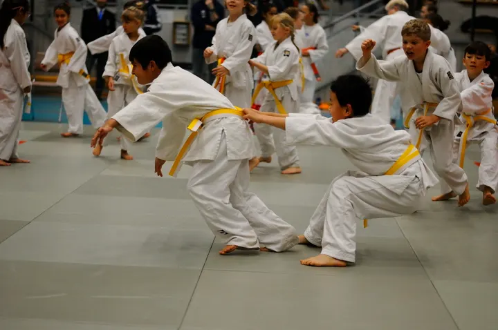 Vallentuna Judo — martial arts-studio i Ormsta, Vallentuna