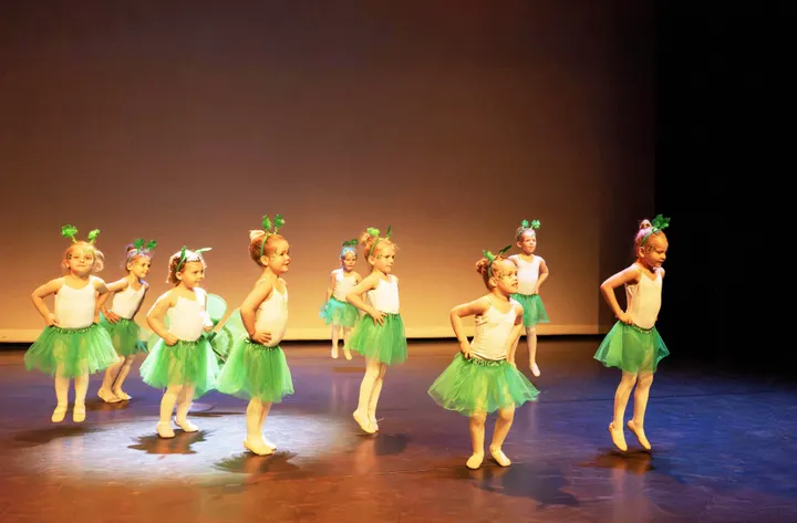 F-Fact Dance Company — dans-studio in Wildackers, Goirle — 2