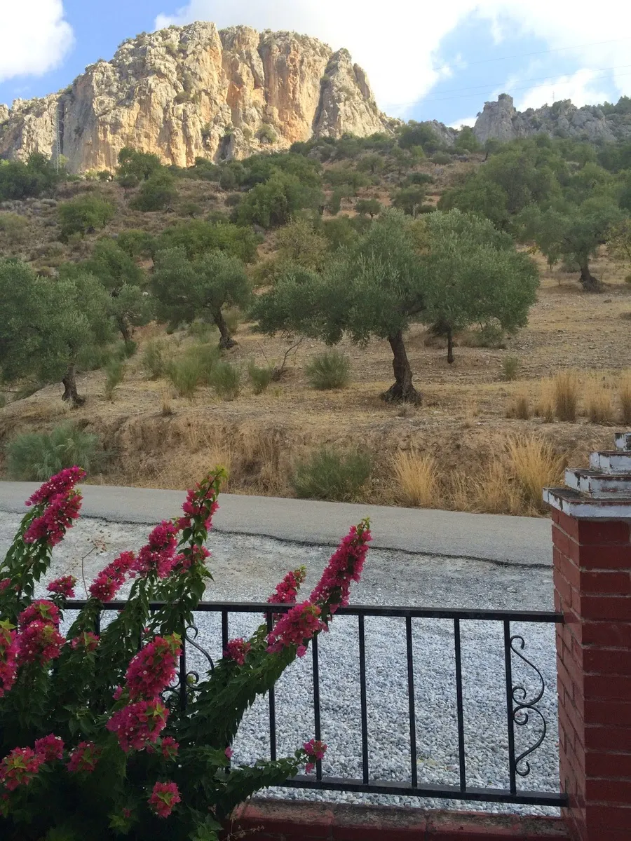 Clever Climb Adventures — escalada-studio en El Chorro — 4
