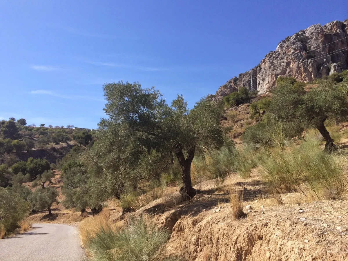 Clever Climb Adventures — escalada-studio en El Chorro — 5