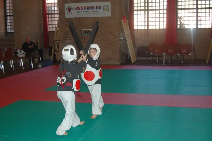 Hwarang Academy Roma Centro — arti marziali-studio a Parioli, Roma — 2