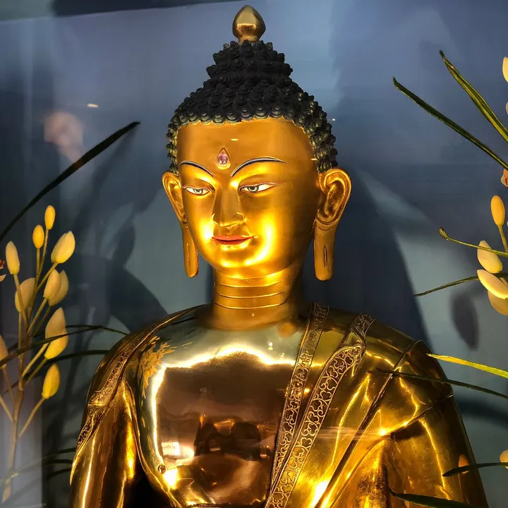 Centro Nagarjuna Valencia — meditación-studio en Valencia — 3