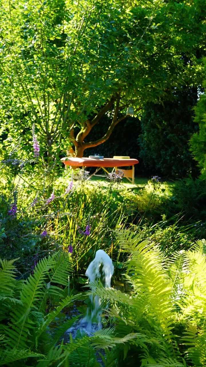 NewRenergy Coaching — yoga-studio in Sonnenhügel, Osnabrück — 2
