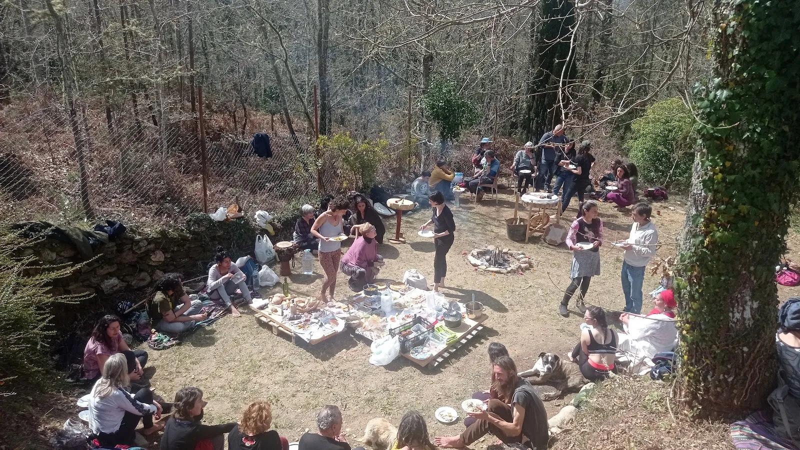 Satchitananda Comunidad — yoga-studio en Cartelle — 4