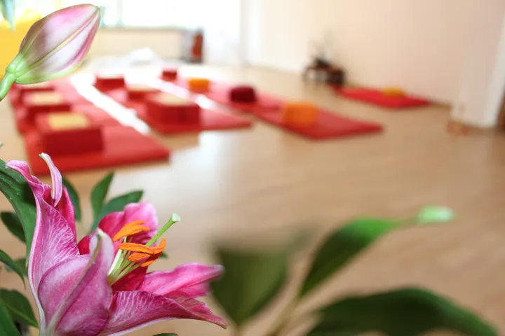Zentrum Zeitlos — tanz-studio in Frankfurt am Main — 4