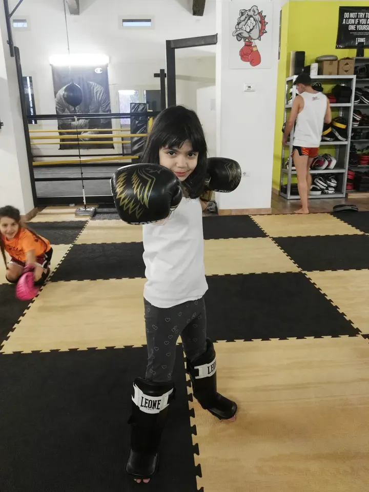 Palestra Bulldog — Kickboxing a Migliolungo, Reggio Emilia