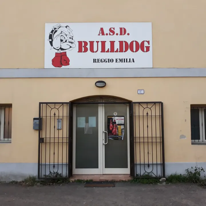 Palestra Bulldog — kickboxing-studio a Migliolungo, Reggio Emilia — 3