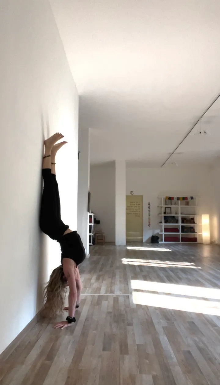 DHARMA SHALA ASD — yoga-studio a Modena — 4