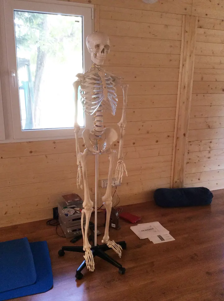 Ayama Yoga & Naturopatia — yoga-studio a Rimini — 5