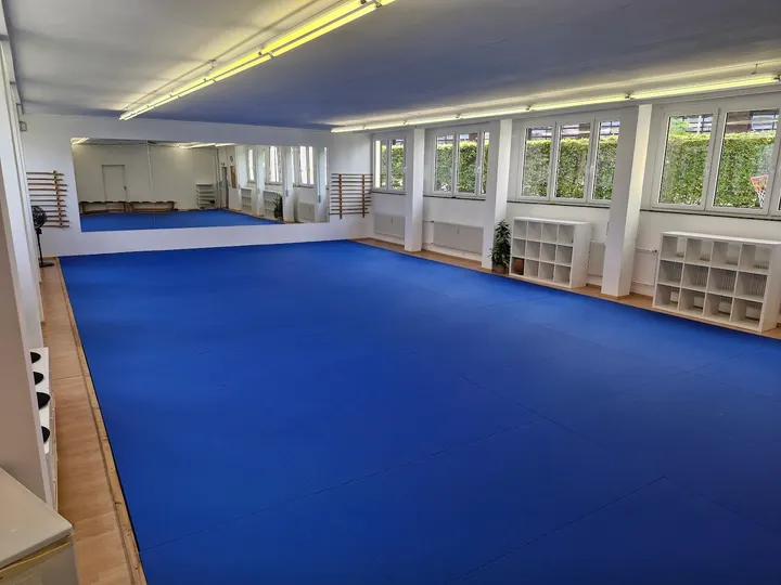 0711 BJJ — bjj-studio in Möhringen-Ost, Stuttgart — 2