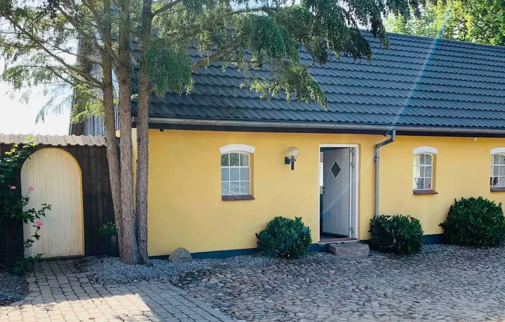 Dans, yin yoga og briksbehandling v/Zandra — yoga-studio i Løget By, Vejle — 3