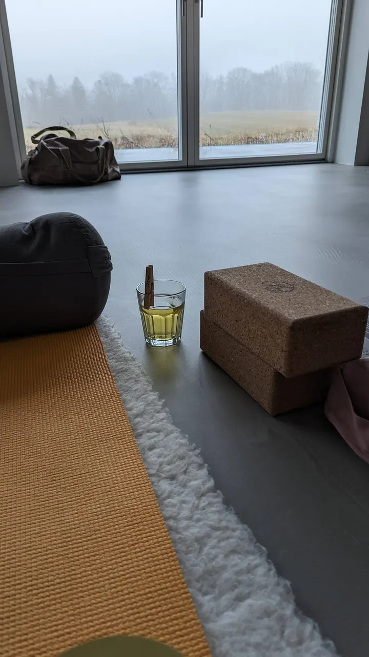 Dans, yin yoga og briksbehandling v/Zandra — Yoga i Løget By, Vejle
