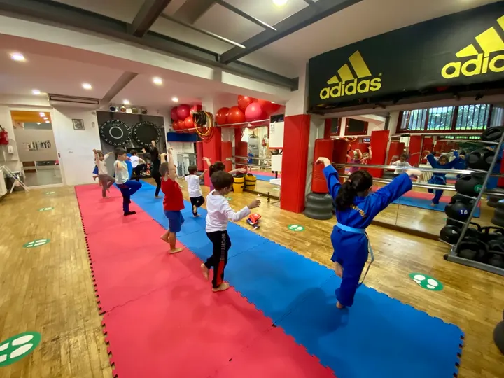 New Gymnika — palestre-studio a Municipio 2, Milano — 2