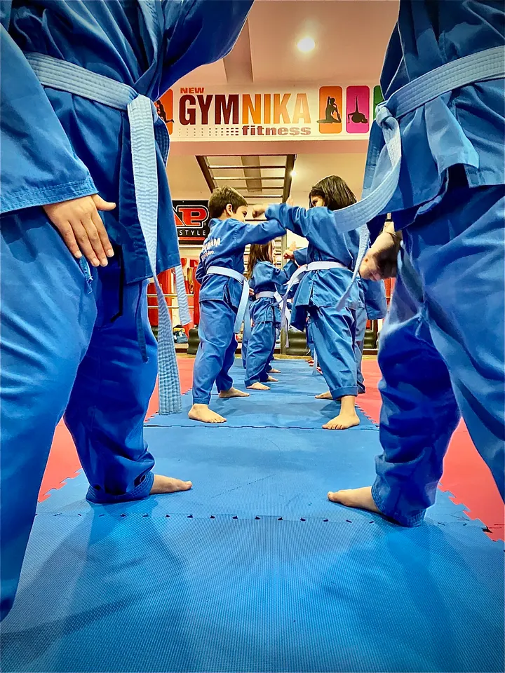 New Gymnika — palestre-studio a Municipio 2, Milano — 3