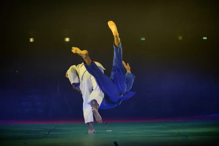 DOJO DES ILES D'OR — arts martiaux-studio à ZAC de la Crestade, Hyères — 2