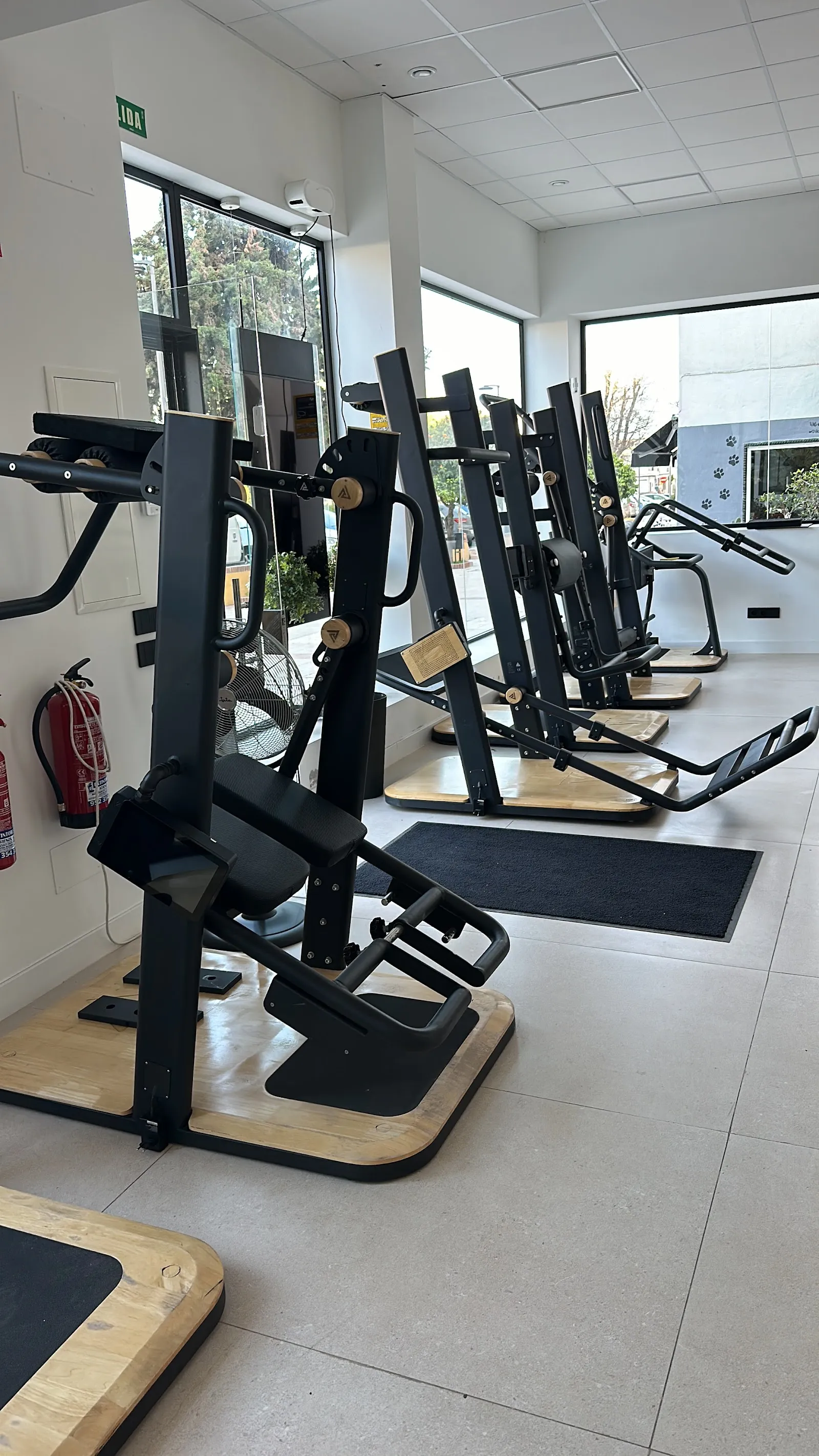 Neonetic Marbella - Entrenamiento Funcional Excéntrico — entrenamiento funcional-studio en Salto del Agua, Marbella — 2