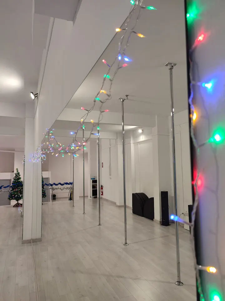 FENYX POLE — pole fitness-studio en Barcelona — 3